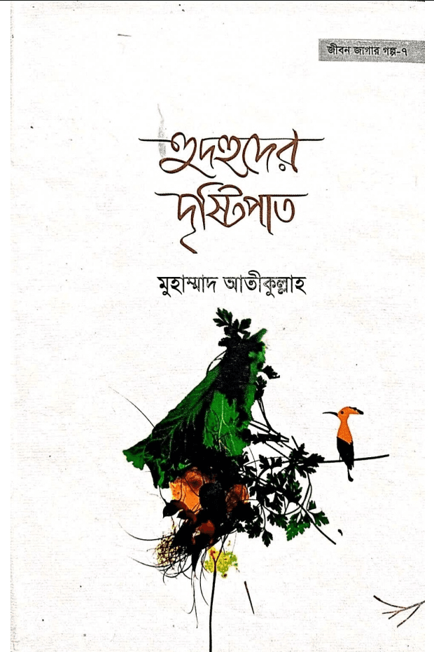 হুদহুদের দৃষ্টিপাত